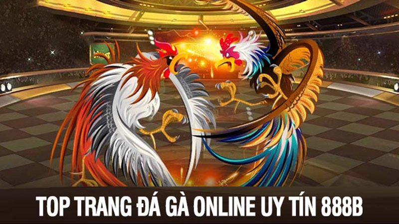 Giới Thiệu Top Trang Đá Gà Online Uy Tín 888b